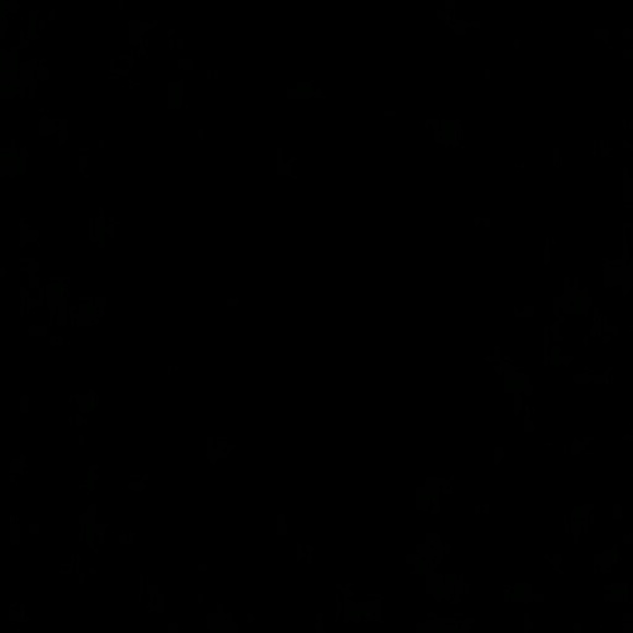 Meet your Posher, Emily - Picture 1 of 1