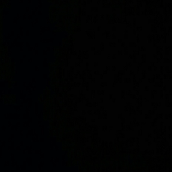 Meet your Posher, Yune - Picture 1 of 1