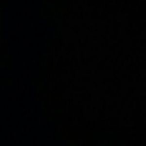 Meet your Posher, Yune