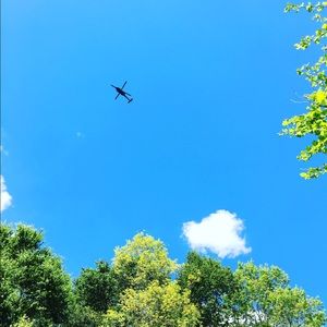 Meet your Posher, Jin