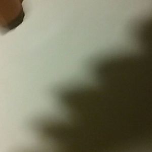 Meet your Posher, Dominick