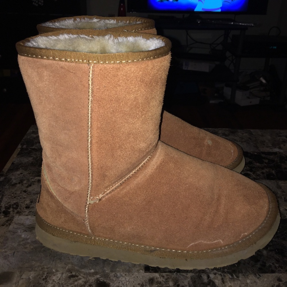 Chestnut Uggs Classic