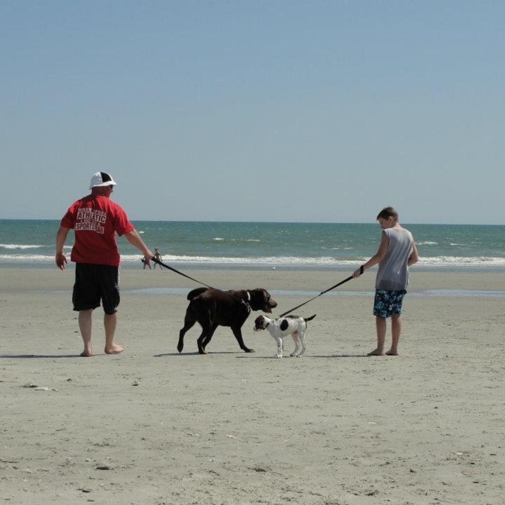 Meet your Posher, Carrie