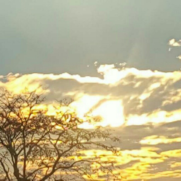 Meet your Posher, Marilena - Picture 1 of 1