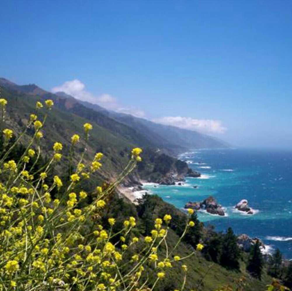 Meet your Posher, Cecilia