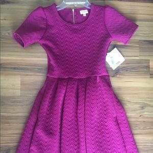 Xxs Lularoe Amelia