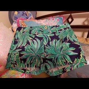 NWT Sz 6 Tiger Palm Callahan