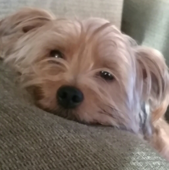 Meet your Posher, Kimberly - Picture 4 of 4