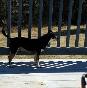 Meet your Posher, Holly