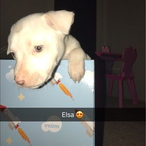 Meet your Posher, Anna