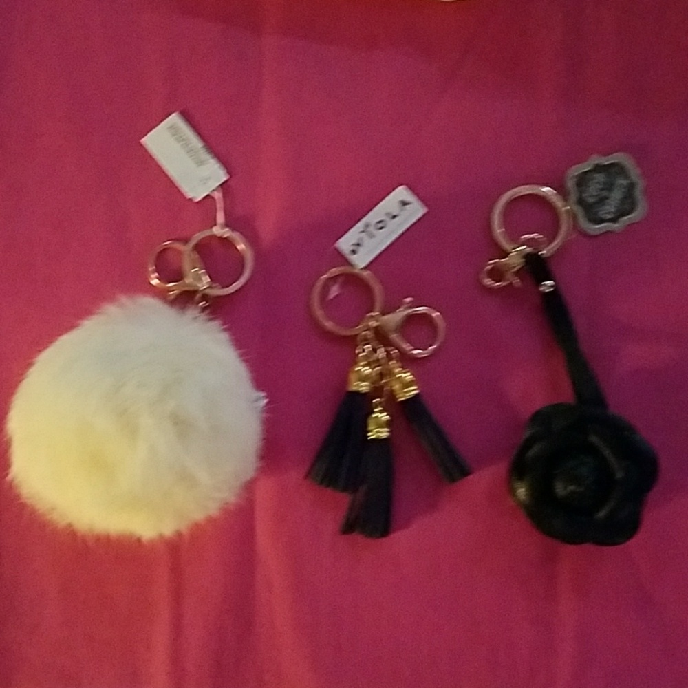 3 New Key Chains