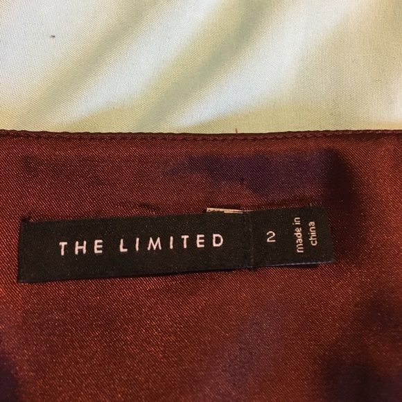 The Limited silk dress - Picture 6 of 7