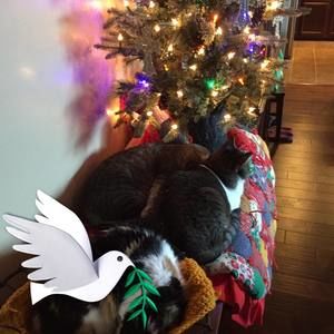 Meet your Posher, Mary bruno