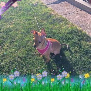 Meet your Posher, Stacy