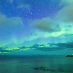 Meet your Posher, Ellie