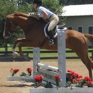 Meet your Posher, Allison