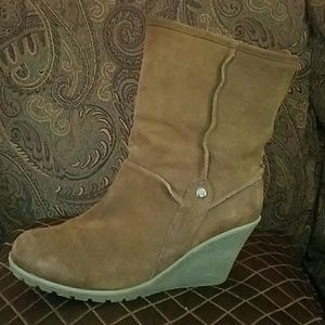 GC Suede Brown shoes