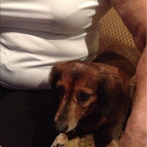 Meet your Posher, Leslie