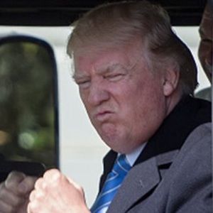 Meet your Posher, Bob