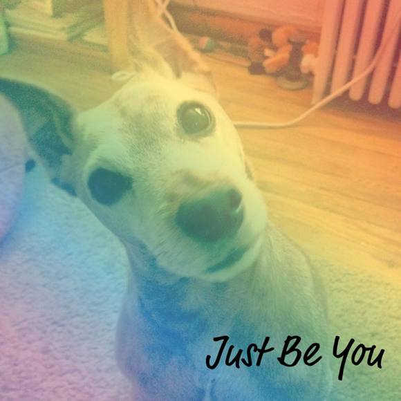 Meet your Posher, Thomasine - Picture 2 of 2