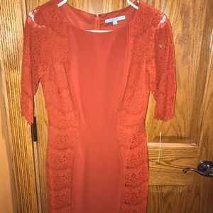 Lace Antonio Melani Dress