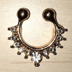 Clip On Nose Ring