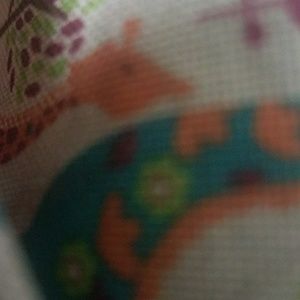 Meet your Posher, Evelyn