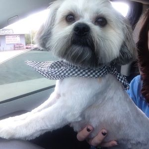 Meet your Posher, Deborah