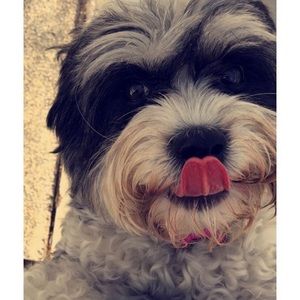 Meet your Posher, Alaina