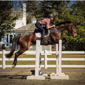 Meet your Posher, Tess