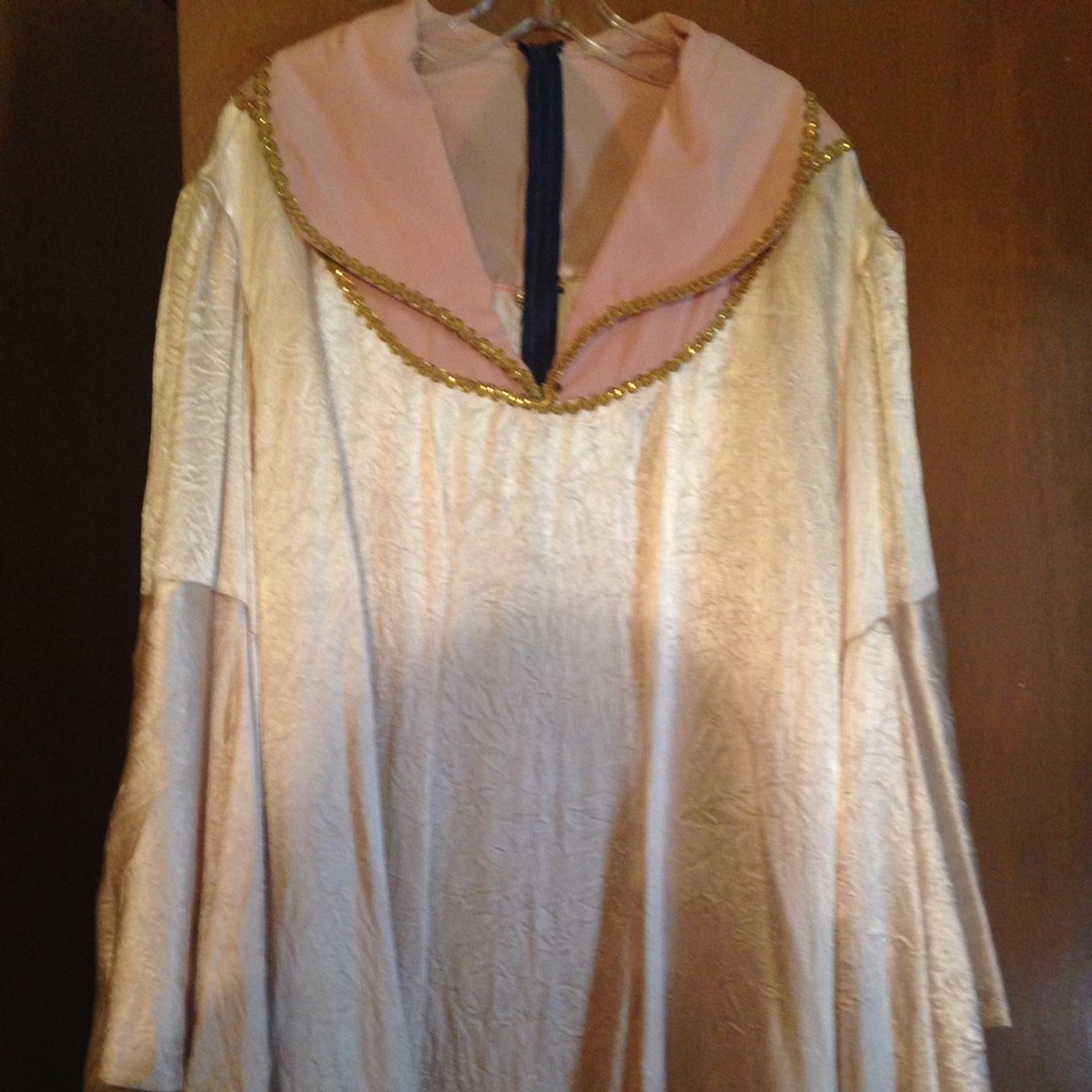 Fairy or Renaissance adult women's costume