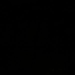 Meet your Posher, Shania