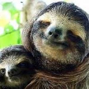 Meet your Posher, Teri lynn