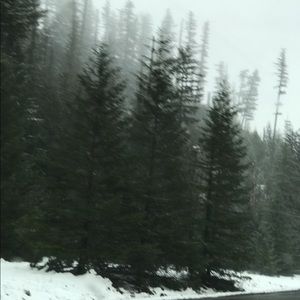 Meet your Posher, Tatiana