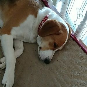 Meet your Posher, Christen