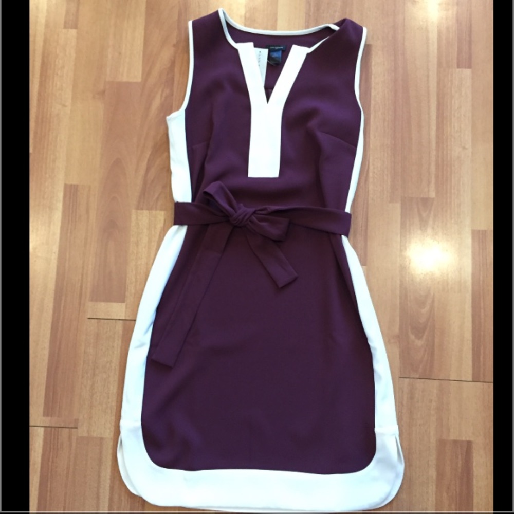 Ann Taylor Dress