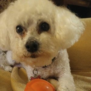 Meet your Posher, Paula