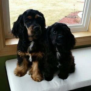 Meet your Posher, Joanne