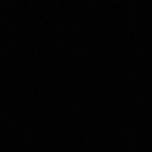 Meet your Posher, Rayna