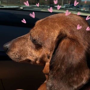 Meet your Posher, Amanda