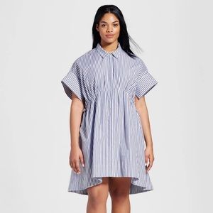Victoria Beckham for Target Stripe Poplin Dress