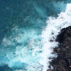 Meet your Posher, Audrey