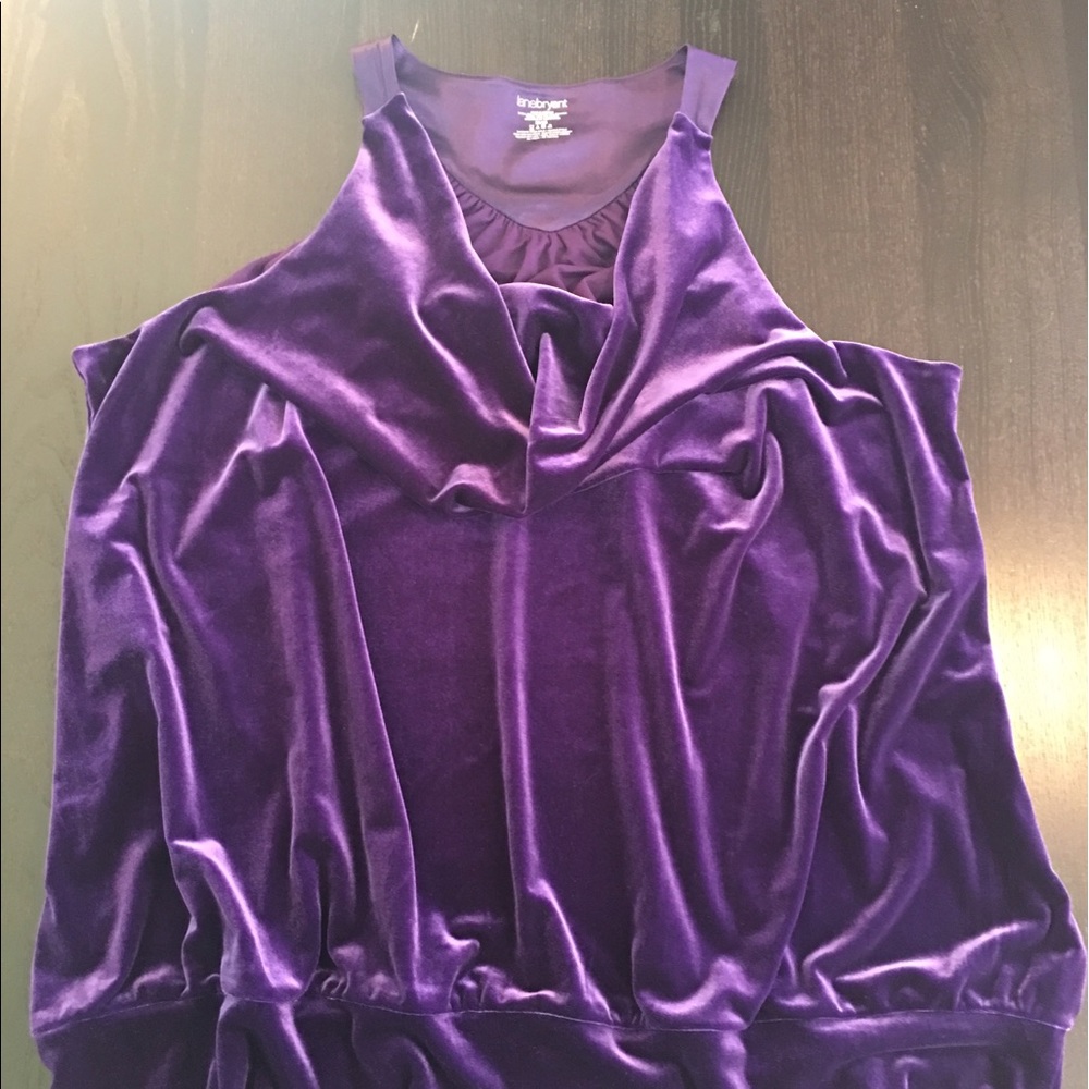 Purple Sleeveless Velvet Top