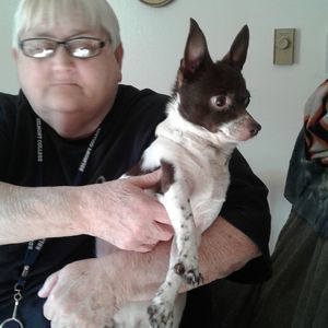 Meet your Posher, Sandra