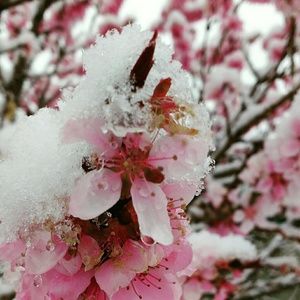 Meet your Posher, Rashel