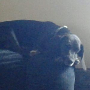 Meet your Posher, Christine