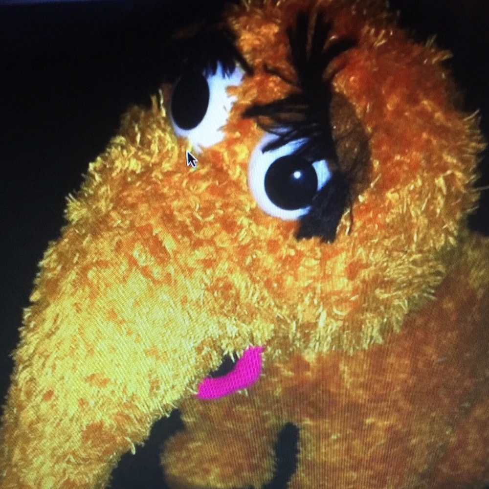Meet your Posher, Snuffy...