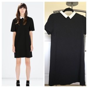 Zara Collared Dress Sz S Black/Polka Dot Like New