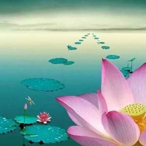 Meet your Posher, Ngoc