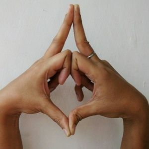 Meet your Posher, Brisa